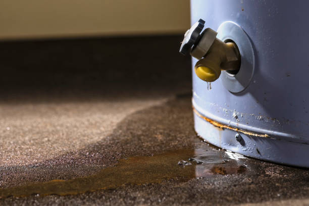 Best Ceiling water damage repair  in Siler City, NC