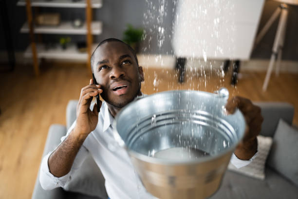 Best Water damage restoration near me  in Siler City, NC