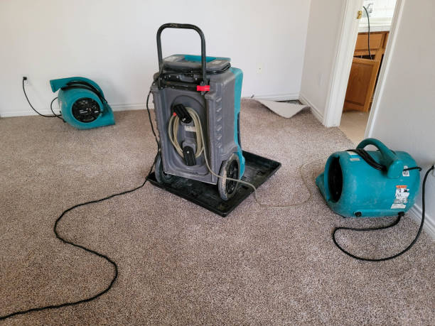 Best 24/7 water damage repair  in Siler City, NC