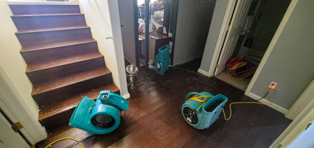 Best Water damage restoration experts  in Siler City, NC