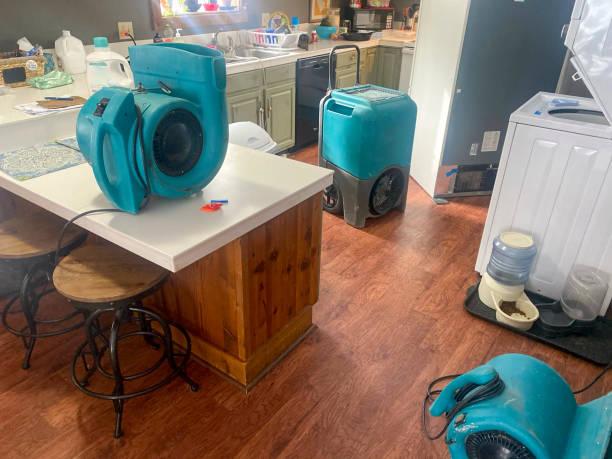 Best Water damage mitigation services  in Siler City, NC
