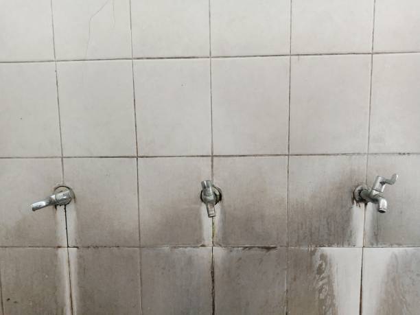 Best Fire Damage Restoration  in Siler City, NC