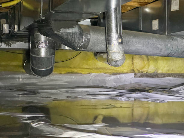 Best Local water damage restoration  in Siler City, NC