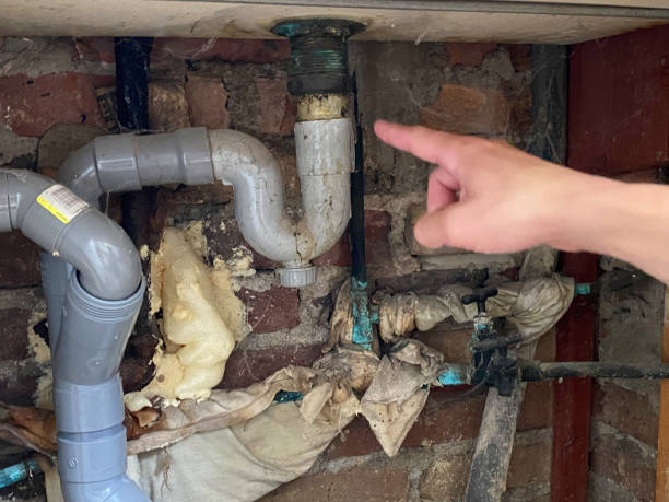 Best Water damage cleanup near me  in Siler City, NC