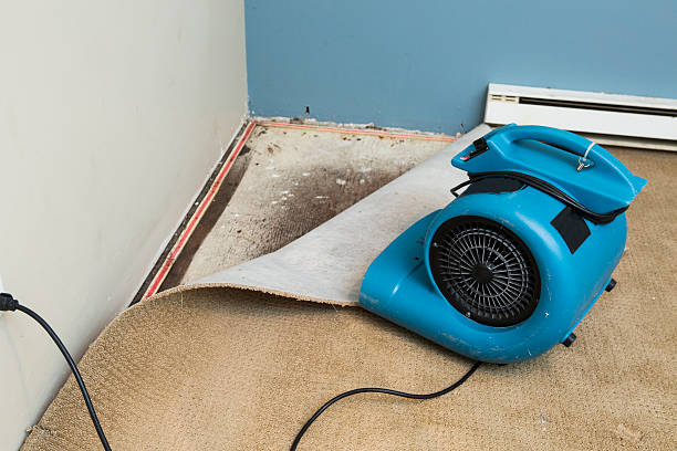 Best Sewage cleanup and water damage restoration  in Siler City, NC